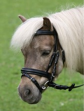 Bride anglais poney d'occasion  Expédié en France