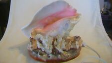 seashell night light plastic for sale  Edgewood