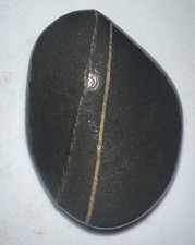 Large double banded for sale  Thebes