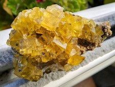 frohnau gebraucht kaufen frohnau gebraucht kaufen Zwönitz