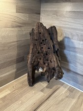 Medium ancient root for sale  ROCHDALE