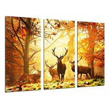 Quadro legno cervo usato  Roccagloriosa