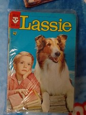 cuccioli collie lassie usato cuccioli collie lassie usato Belluno