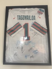 Miami dolphins trikot gebraucht kaufen  Rodenbach