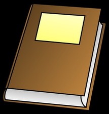 Czech english dictionary for sale  Dallas