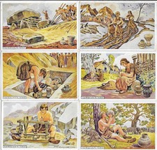 erdal sammelbilder gebraucht kaufen erdal sammelbilder gebraucht kaufen Herzberg