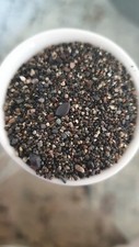 Sand fauskasandur beach gebraucht kaufen  Detmold