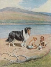 Rough collie beach for sale  Tampa