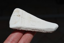 Native american clam for sale  Clearwater