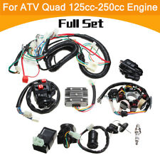 Cdi wire harness for sale  HATFIELD