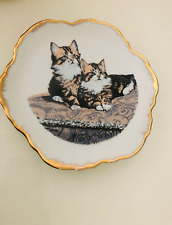 Kitty cat wall for sale  BIRMINGHAM