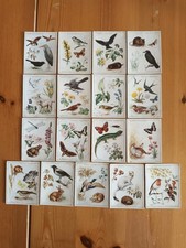 players cigarette cards for sale players cigarette cards for sale GLOSSOP