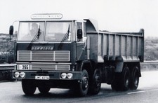 Photo shepperton plant for sale  GRANTHAM