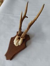 Schöner ender jagd gebraucht kaufen  Hattersheim