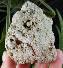 Ponce roche volcanique d'occasion Ponce roche volcanique d'occasion  Lagnieu