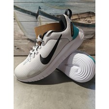 Tênis Nike Flex Experience RN 12 Feminino Tamanho 6 Branco Prata DV0746 002, usado comprar usado  Enviando para Brazil