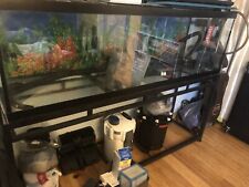 125 gal aquarium for sale  North Miami Beach