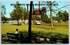 Postcard beautiful wildwood for sale  Kansas City