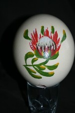 Oeuf autruche peint d'occasion  Champs-sur-Marne