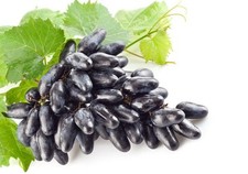 Vitis souvenir weintraube gebraucht kaufen  Lastrup