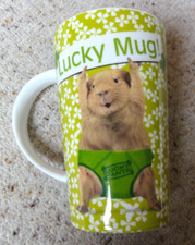 Mug guinea pig for sale  ROTHERHAM