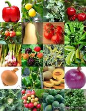 Organic fruits vegetable for sale  Miami
