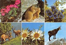 Flore faune montagnes d'occasion  France