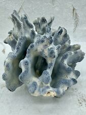 Beautiful natural genuine for sale  Aubrey