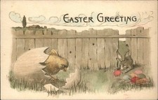 Easter chick hatching for sale  USA