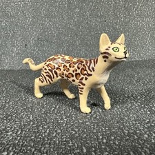 cats bengal for sale cats bengal for sale Deerfield