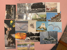 Konvolut kunst tiere gebraucht kaufen  Essen