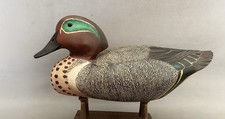 Green wing teal for sale  Goodyear
