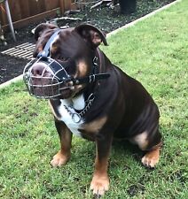 Cesta de arame de metal focinho de cachorro forte antigo buldogue inglês bolso de buldogue americano comprar usado  Enviando para Brazil