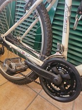 Bici mountain bike usato  Latina