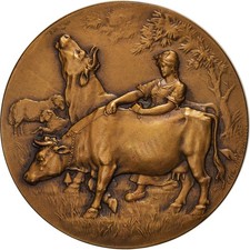 Médaille concours animaux d'occasion  Lille-