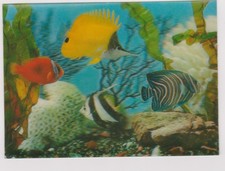 3d see fisch gebraucht kaufen 3d see fisch gebraucht kaufen Weil am Rhein