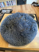 Fluffy circle kitten for sale  TAMWORTH