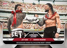 Topps wwe wrestling gebraucht kaufen  Neu Wulmstorf