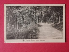Cpa forest care d'occasion  Expédié en Belgium