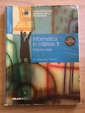 Informatica classe ed.mista usato  Blufi