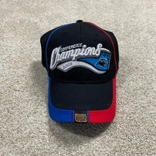 Vtg panthers hat for sale  Newton