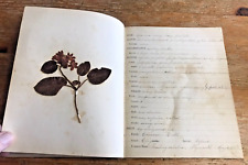 Antique botanical scrapbook for sale  Ranson