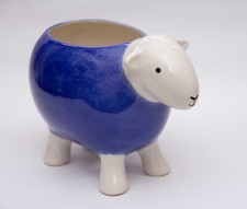 Herdy blue herdwick for sale  GRANGE-OVER-SANDS