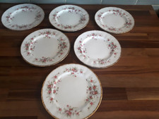 Paragon victoriana rose for sale  CROOK