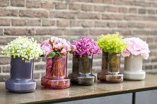 Neu dutz vase gebraucht kaufen  Wildeshausen