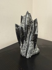 Orthoceras fossil tower for sale  CANTERBURY
