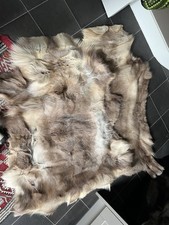 Elk hides great for sale  LONDON