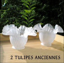 1900 tulipes lampe d'occasion  Millau
