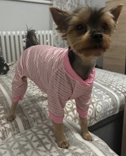 Pink striped dog for sale  CASTLEFORD