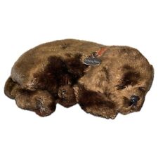Perfect petzzz hund gebraucht kaufen  Köln